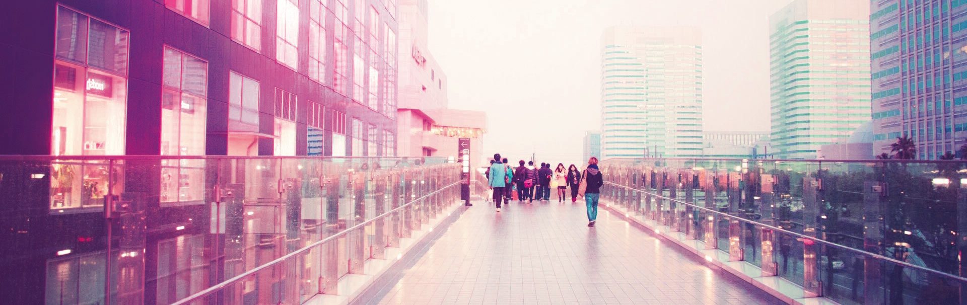 Ewaste Management Guidelines India IPC